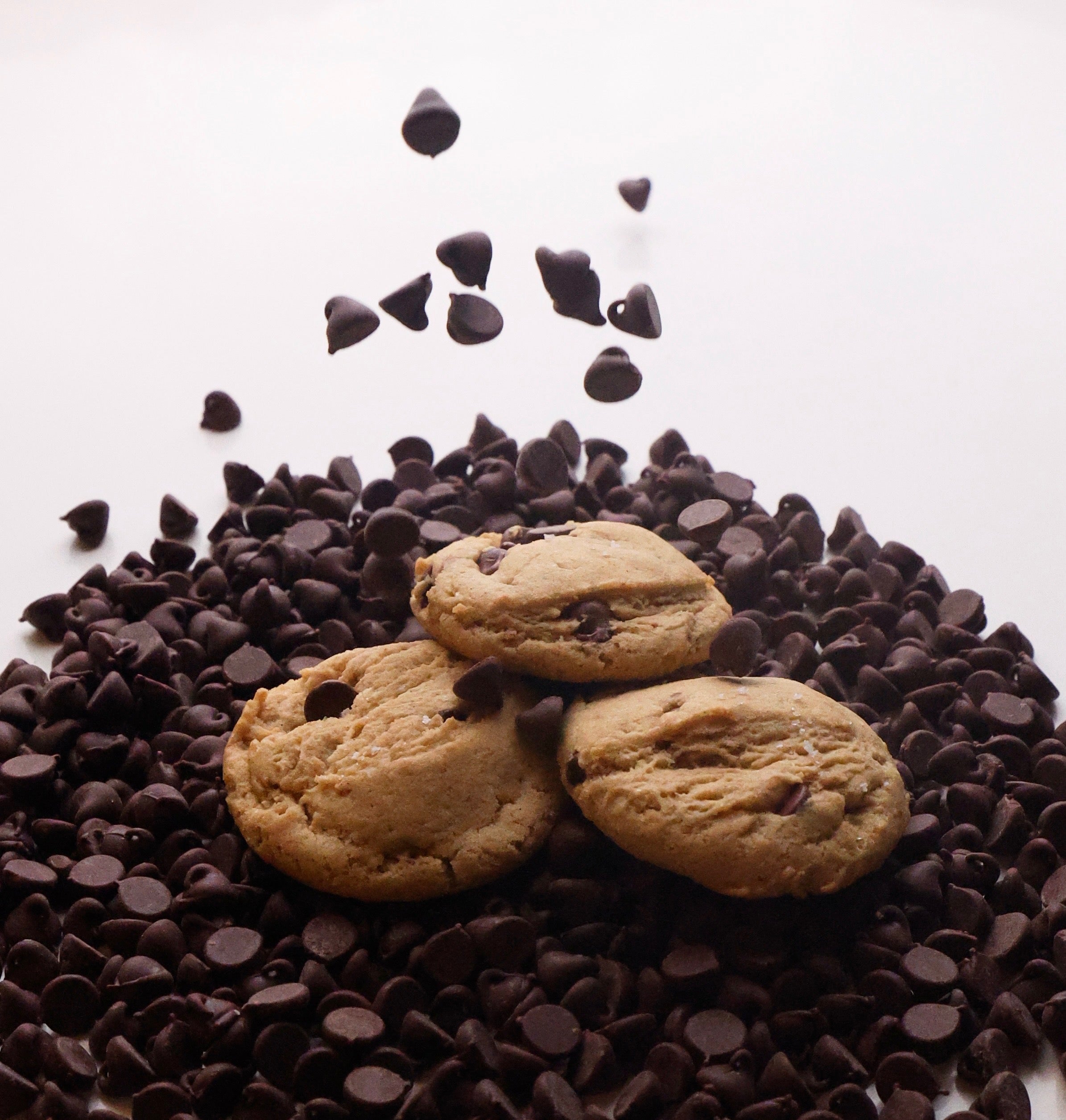 Chocolate Chip Cookie